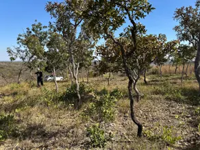 Imagem 6 - Chácara em Amanda, Baldim - MG
