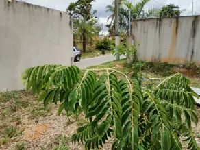 Imagem 6 - Terreno em Vale dos Sonhos, Lagoa Santa - MG