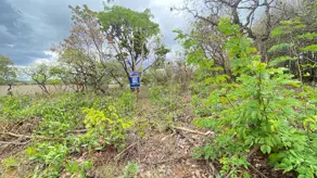 Imagem 2 - Terreno em Morro do Cruzeiro, Lagoa Santa - MG