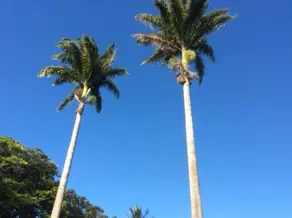 Imagem 5 - Casa em Várzea, Lagoa Santa - MG