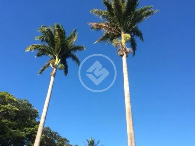 Imagem 5 - Casa em Várzea, Lagoa Santa - MG