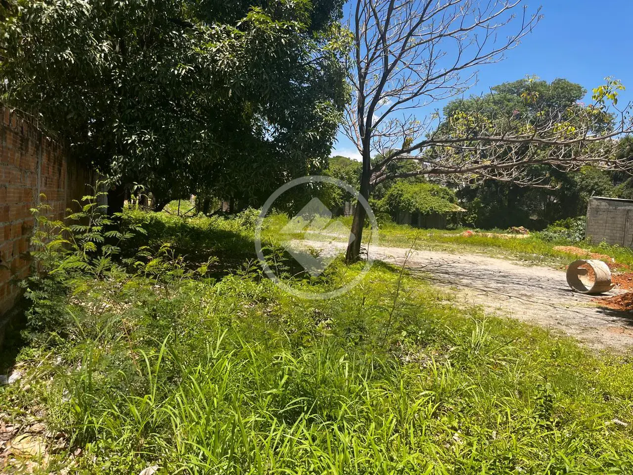Imagem 1 - Terreno Comercial em Centro, Vespasiano - MG
