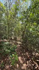 Imagem 2 - Terreno Condomínio em Condados da Lagoa, Lagoa Santa - MG