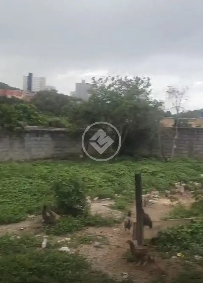 Imagem 3 - Terreno Comercial em Nova Pampulha, Vespasiano - MG