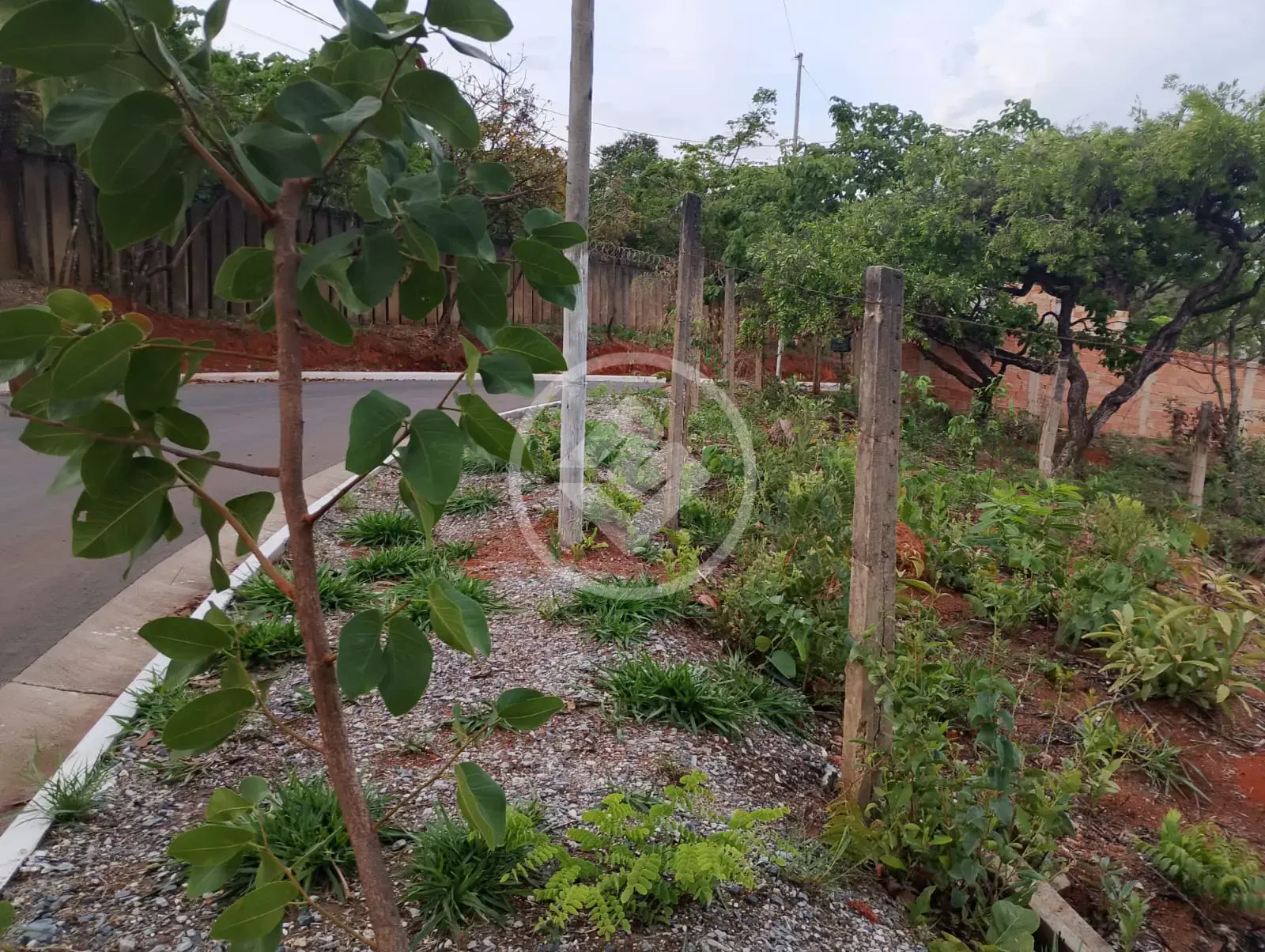 Imagem 1 - Terreno em Recanto da Lagoa, Lagoa Santa - MG