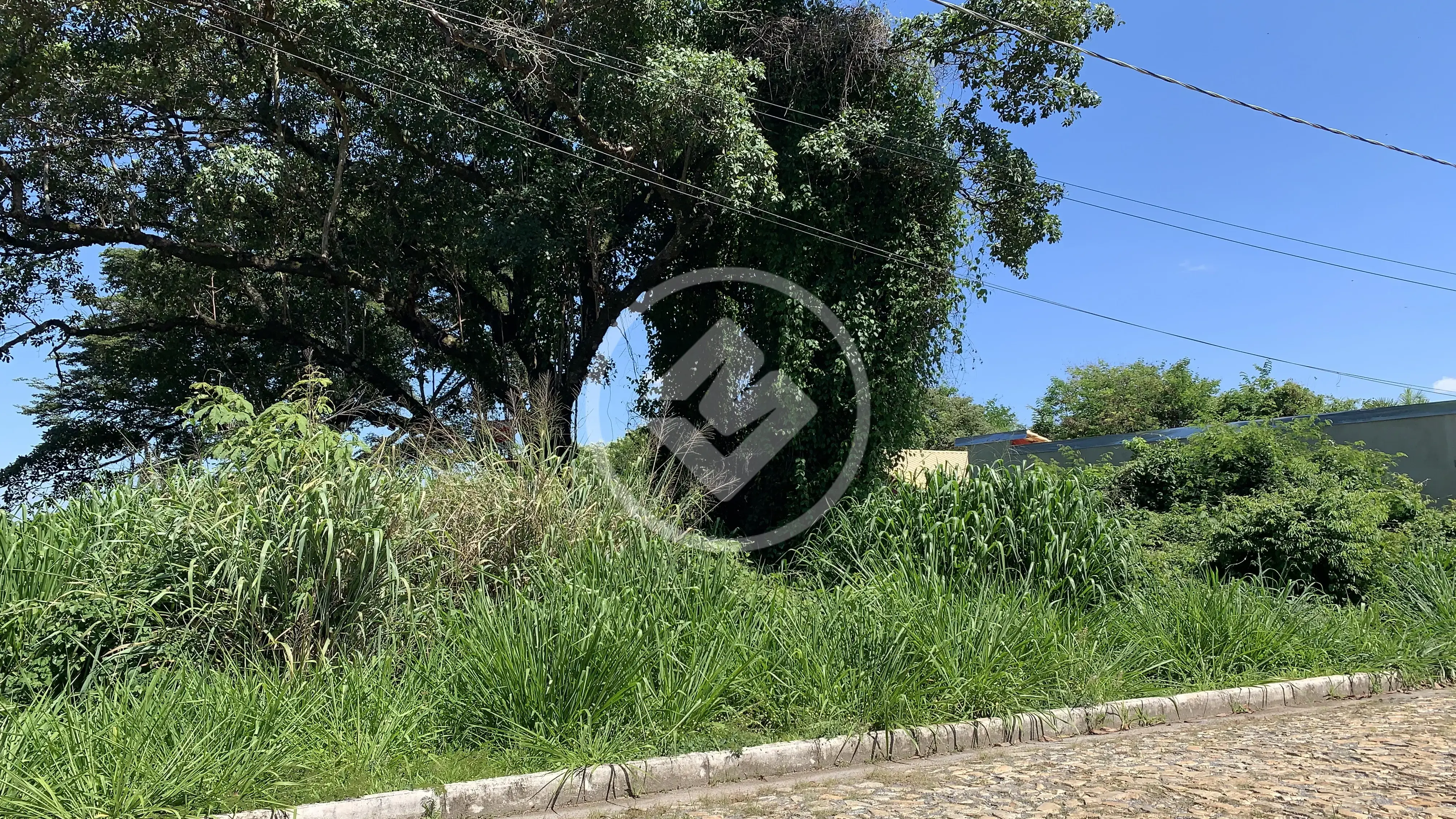 Imagem 1 - Terreno Condomínio em Angicos, Vespasiano - MG