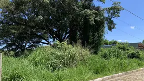 Imagem 2 - Terreno Condomínio em Angicos, Vespasiano - MG