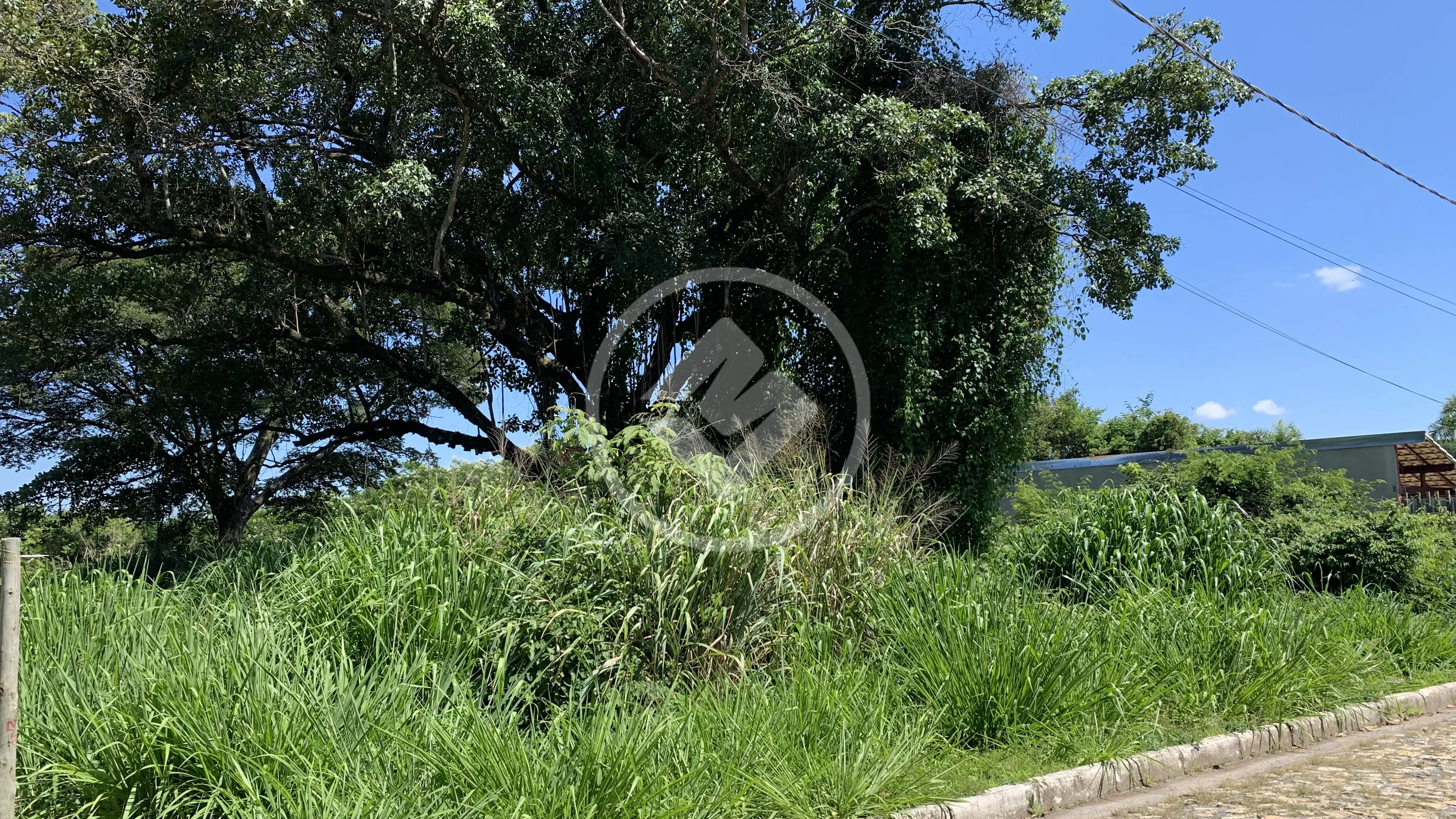 Imagem 2 - Terreno Condomínio em Angicos, Vespasiano - MG