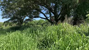 Imagem 3 - Terreno Condomínio em Angicos, Vespasiano - MG