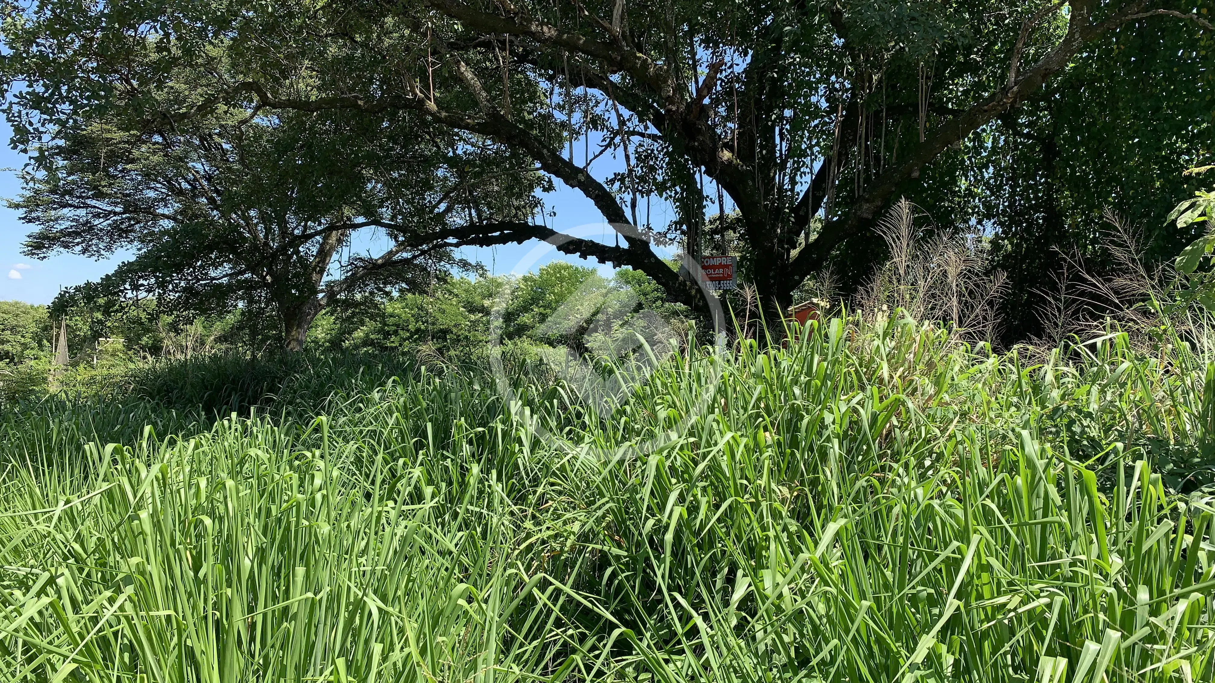 Imagem 3 - Terreno Condomínio em Angicos, Vespasiano - MG