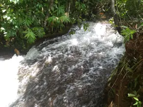 Fazenda Mambaí, Mambaí - GO — foto 1