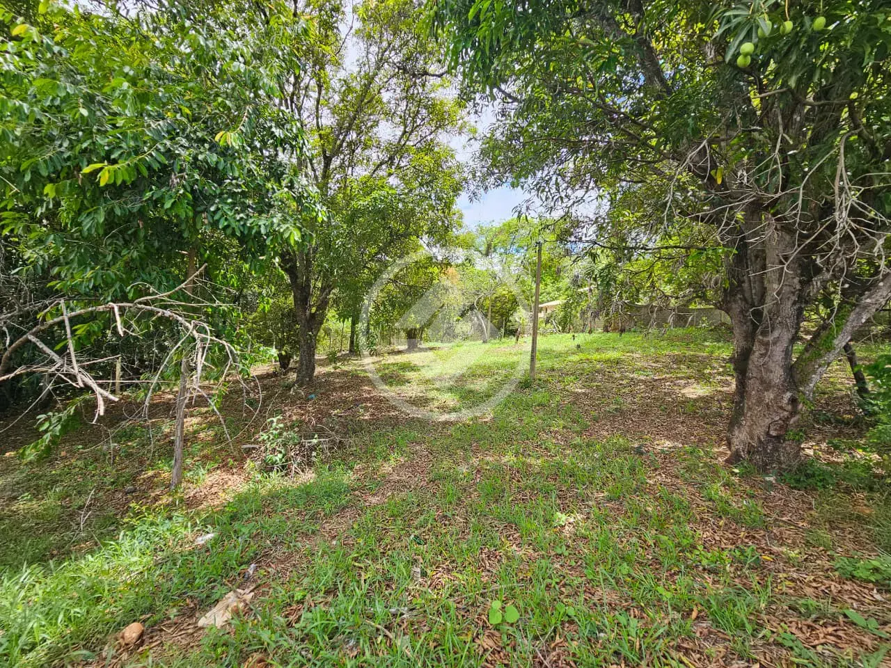Imagem 5 - Terreno Comercial em Residencial Riviera, Lagoa Santa - MG
