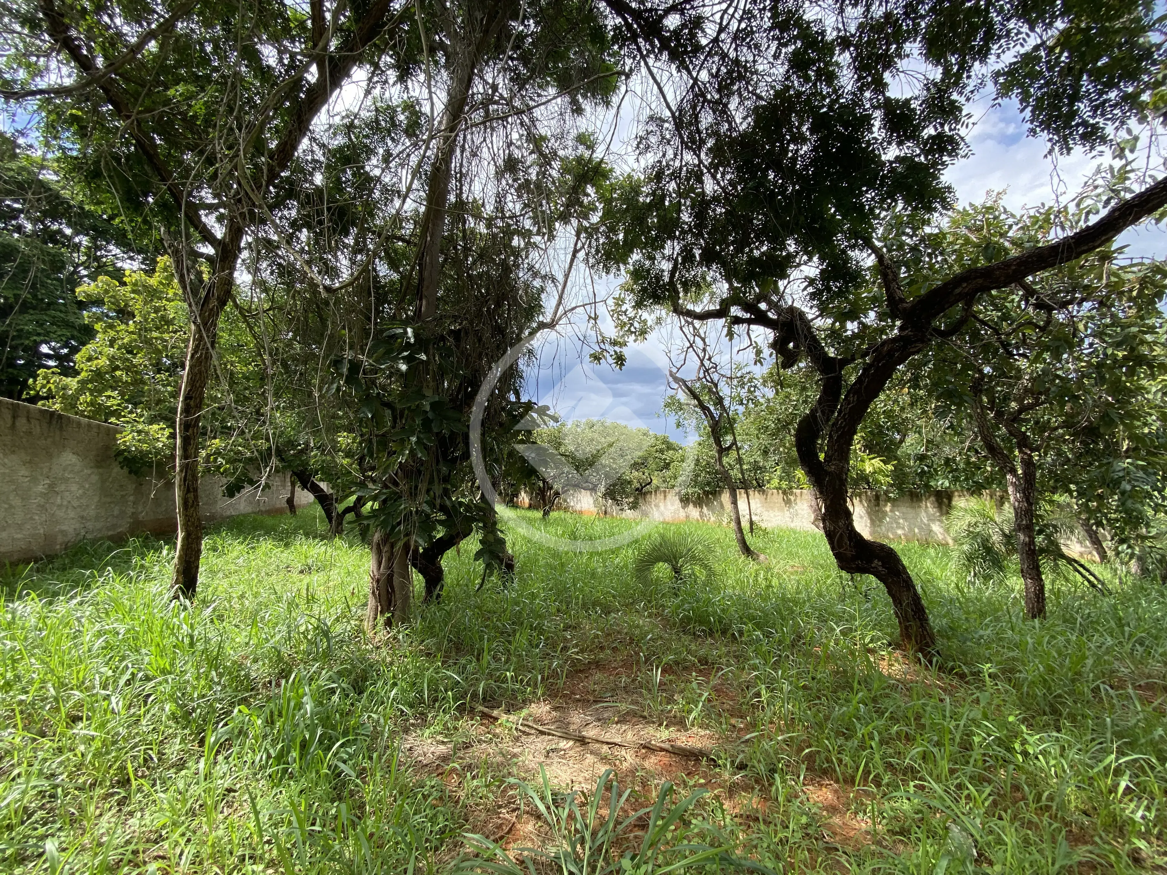 Imagem 1 - Terreno em Recanto da Lagoa, Lagoa Santa - MG