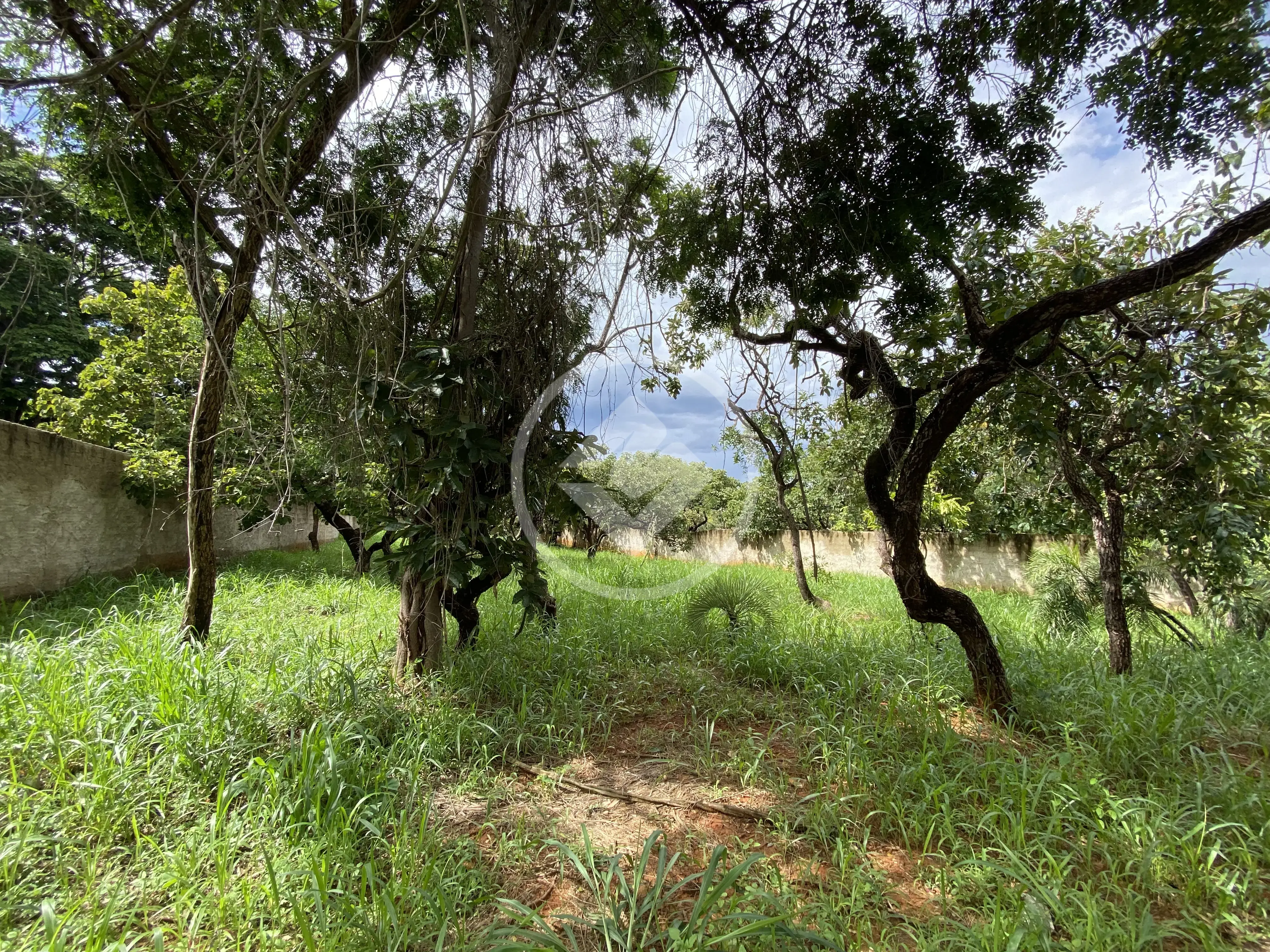 Imagem 1 - Terreno em Recanto da Lagoa, Lagoa Santa - MG