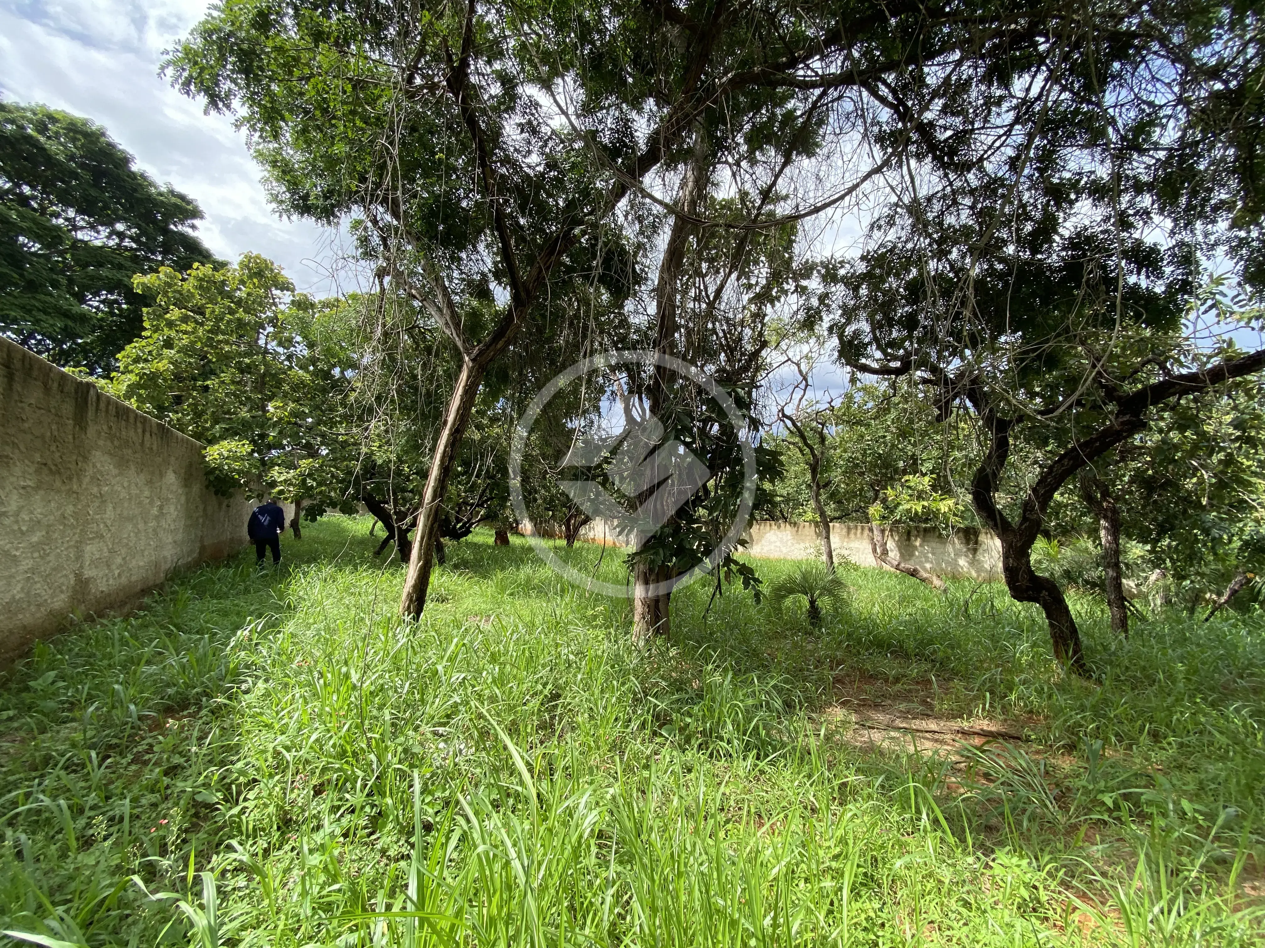 Imagem 2 - Terreno em Recanto da Lagoa, Lagoa Santa - MG