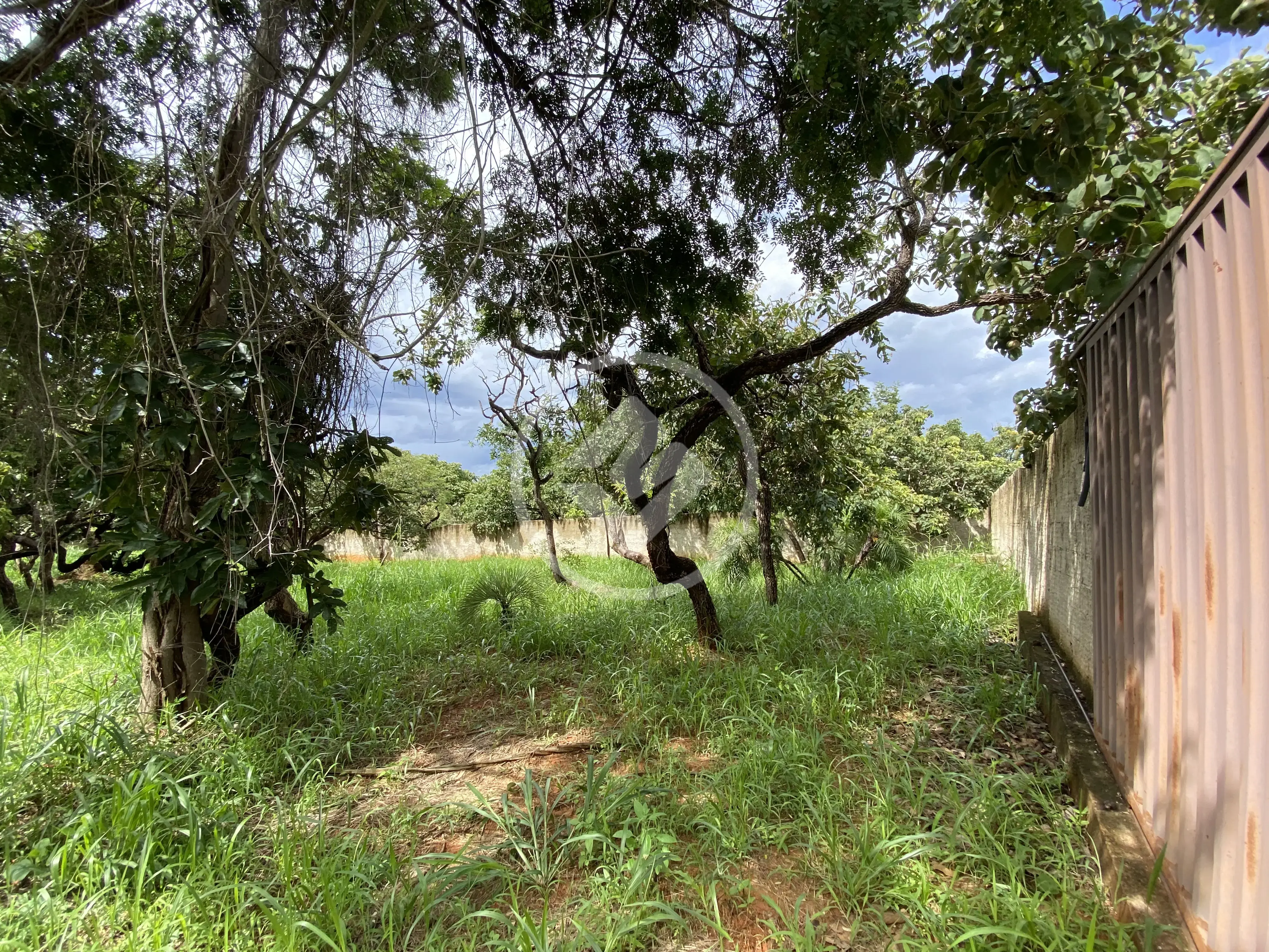 Imagem 3 - Terreno em Recanto da Lagoa, Lagoa Santa - MG