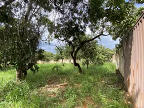 Imagem 4 - Terreno em Recanto da Lagoa, Lagoa Santa - MG