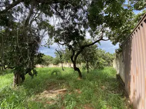 Imagem 6 - Terreno em Recanto da Lagoa, Lagoa Santa - MG
