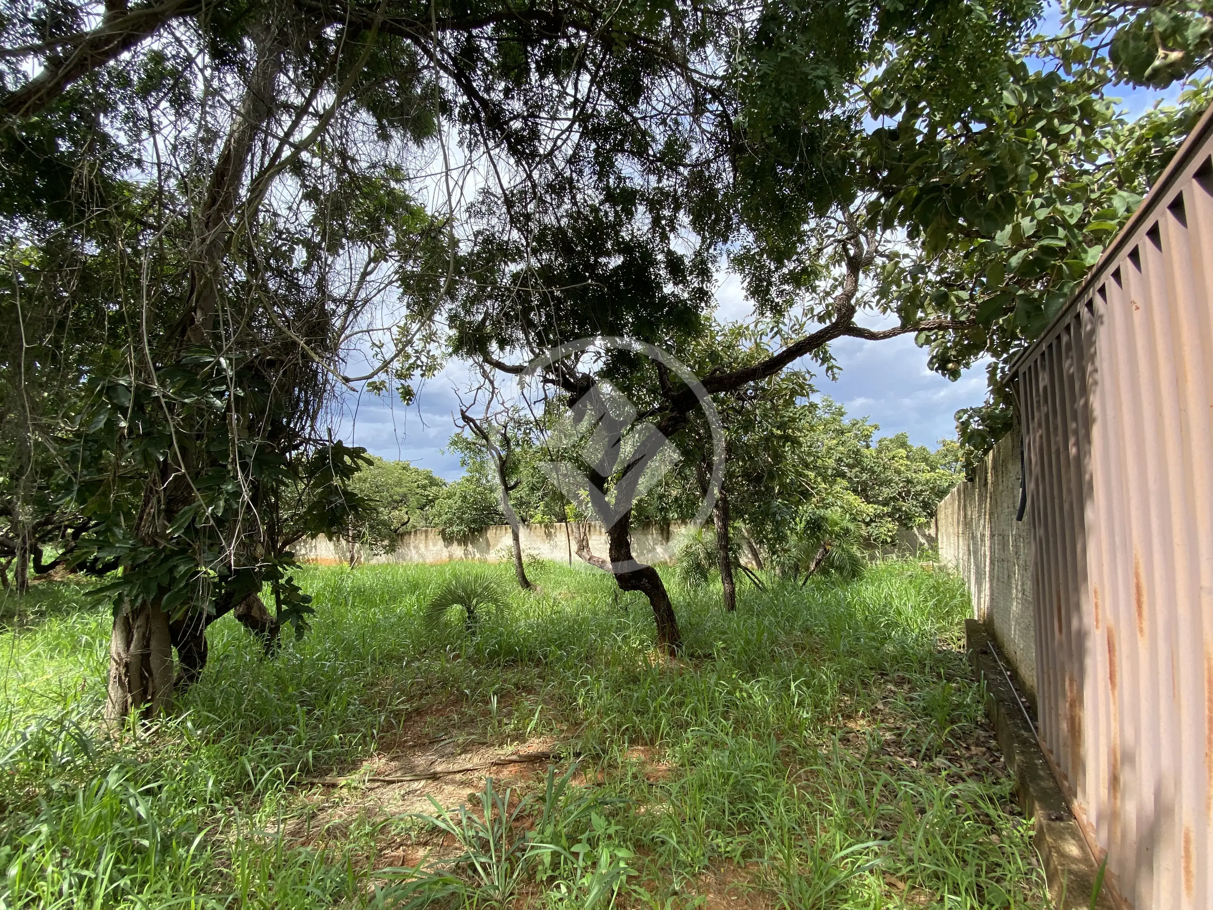 Imagem 6 - Terreno em Recanto da Lagoa, Lagoa Santa - MG