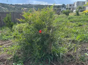 Imagem 3 - Terreno Condomínio em Champagne, Lagoa Santa - MG