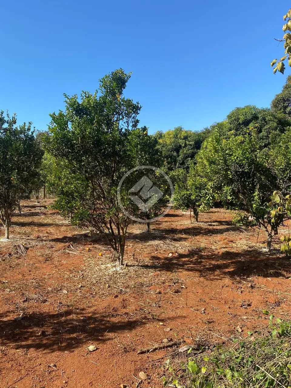 Imagem 4 - Fazenda em Quinta do Sumidouro, Pedro Leopoldo - MG
