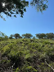 Imagem 6 - Sítio em BAIRRO RURAL, Santana do Riacho - MG