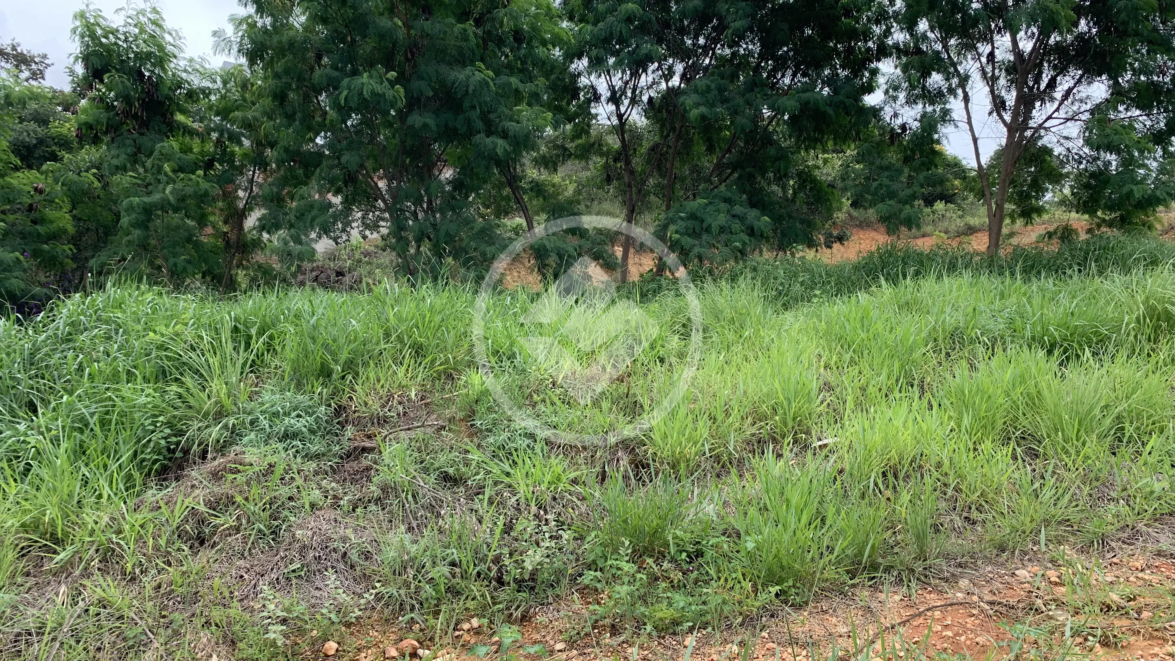 Imagem 4 - Terreno em Lagoinha de Fora, Lagoa Santa - MG
