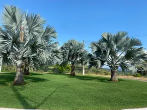 Imagem 2 - Terreno Condomínio em Lagoinha de Fora, Lagoa Santa - MG