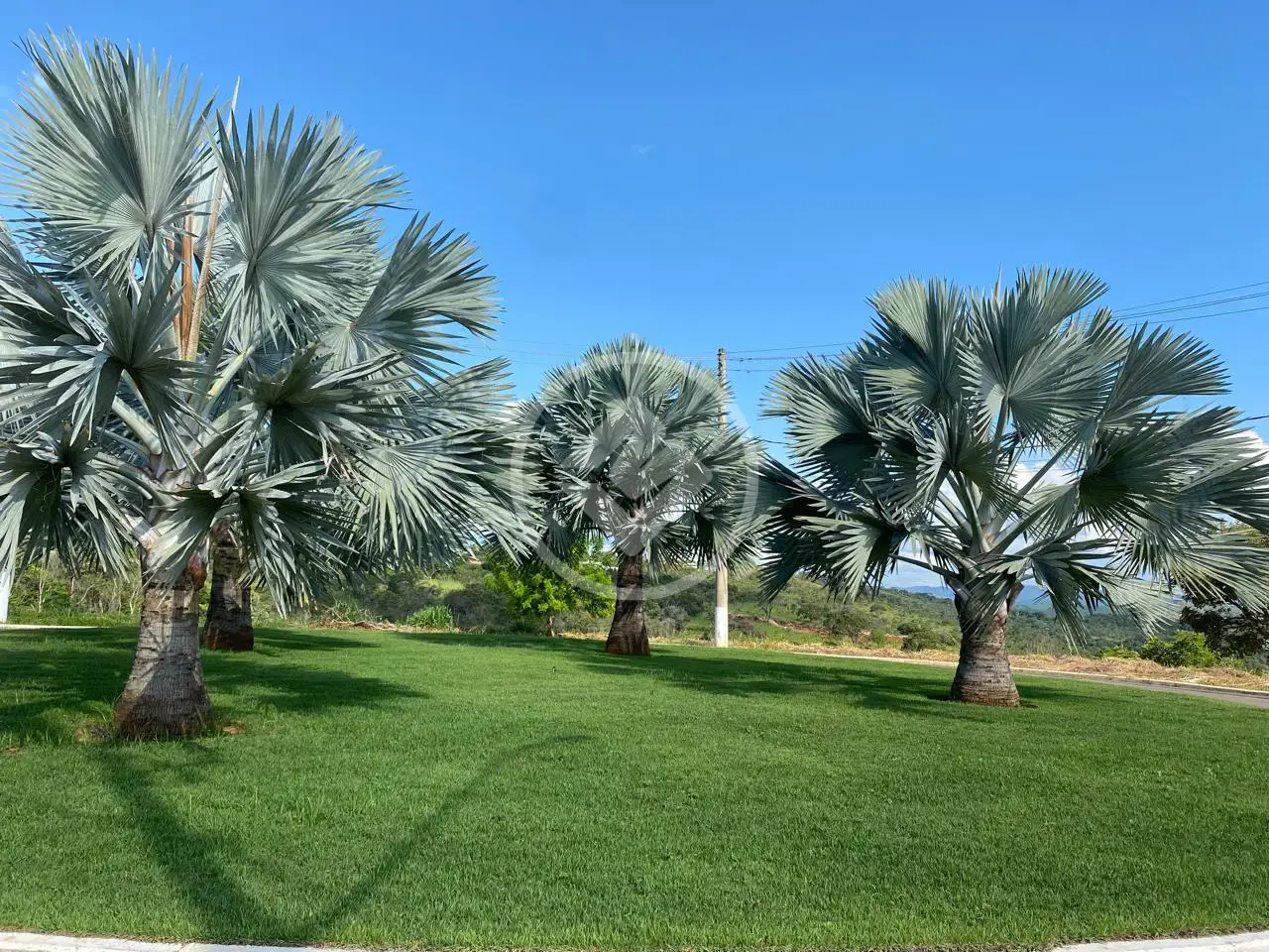 Imagem 2 - Terreno Condomínio em Lagoinha de Fora, Lagoa Santa - MG