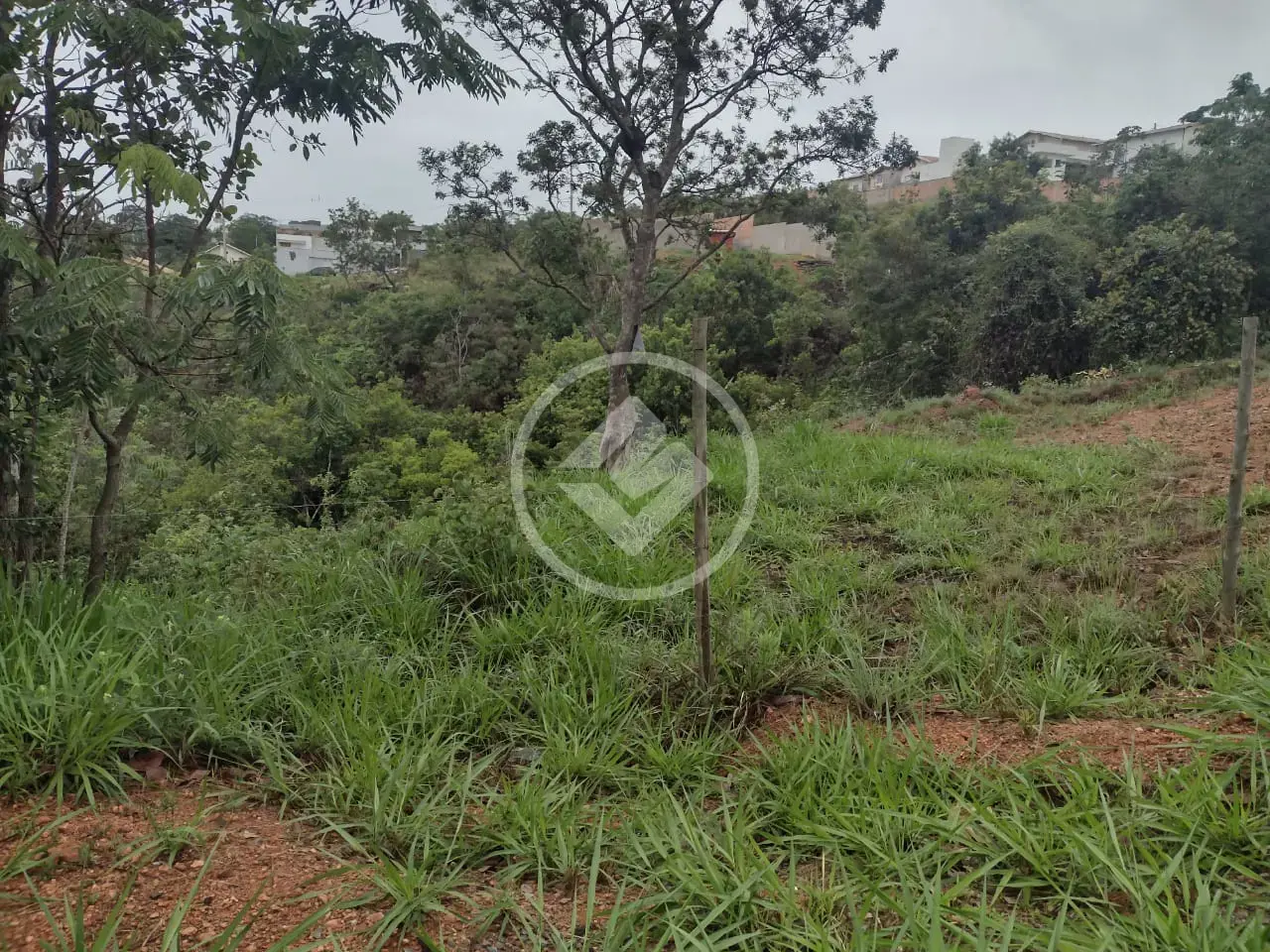 Imagem 2 - Terreno em Shalimar, Lagoa Santa - MG