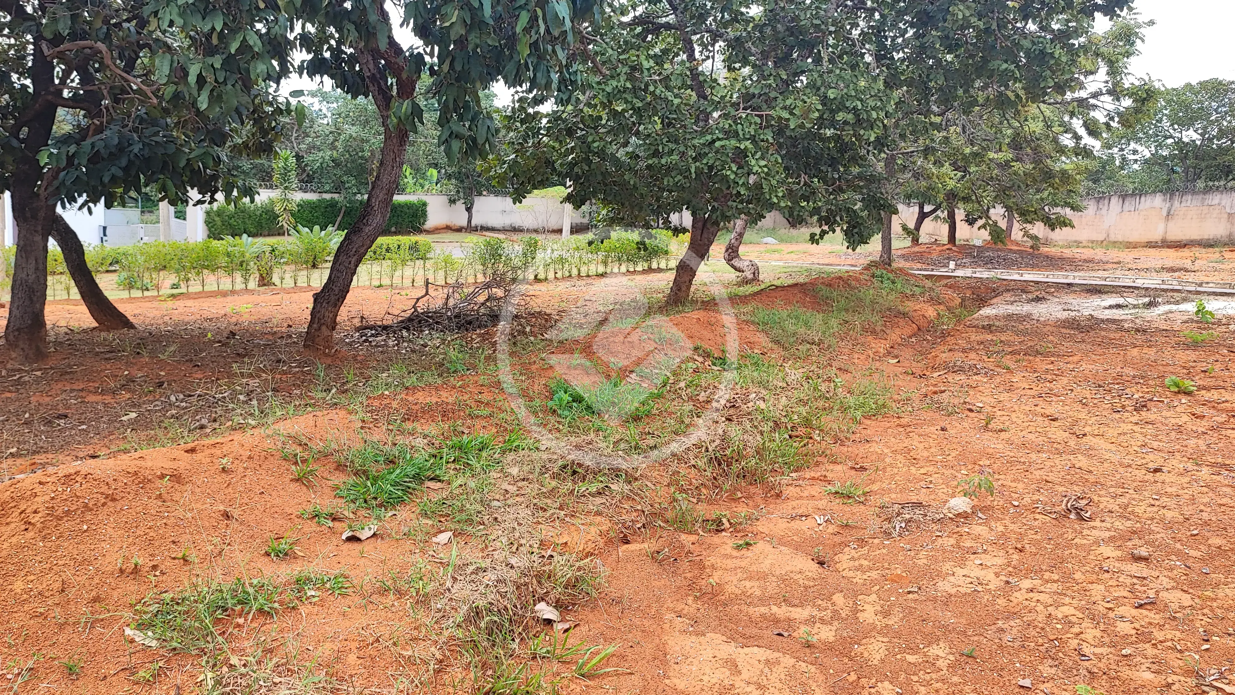 Imagem 1 - Terreno Condomínio em Joana Marques, Lagoa Santa - MG