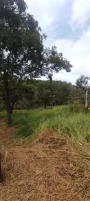 Imagem 3 - Terreno em Villa Paradiso, Lagoa Santa - MG