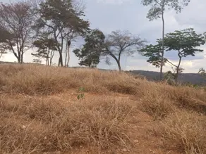 Terreno Condomínio Lundcea, Lagoa Santa - MG — foto 1