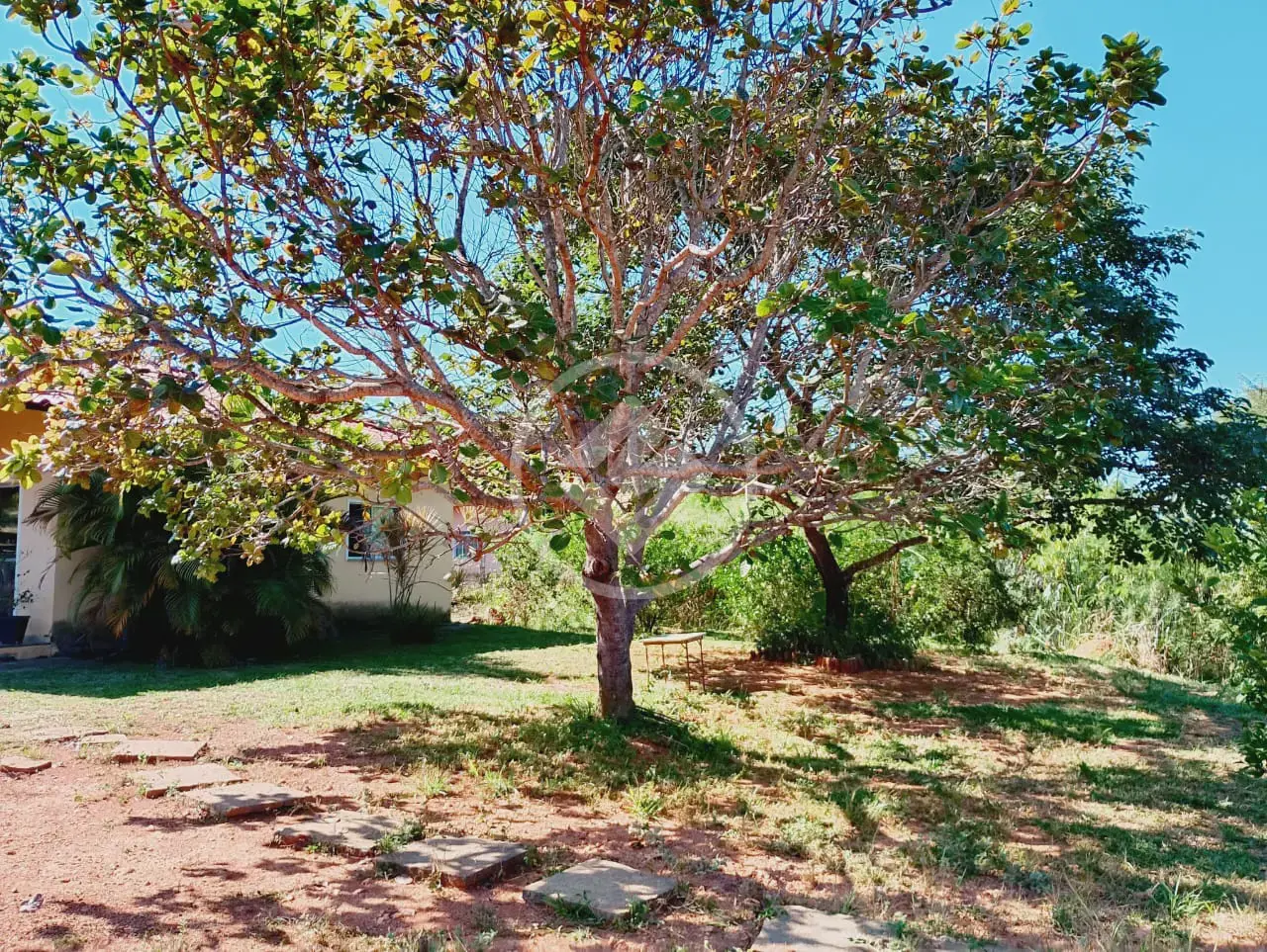 Imagem 6 - Sítio em Centro, Jaboticatubas - MG
