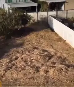 Imagem 3 - Terreno Comercial em Gran Park, Vespasiano - MG