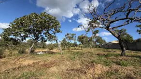 Terreno Lagoa Mansões, Lagoa Santa - MG — foto 1