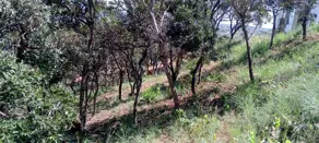 Imagem 2 - Terreno Condomínio em RESIDENCIAL BOULEVARD, Lagoa Santa - MG