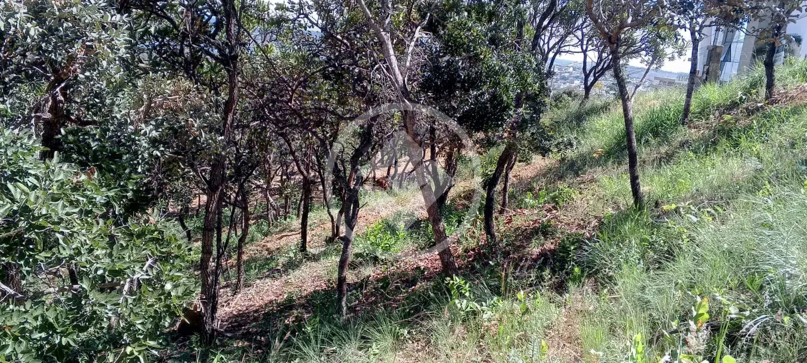 Imagem 2 - Terreno Condomínio em Residencial Boulevard, Lagoa Santa - MG
