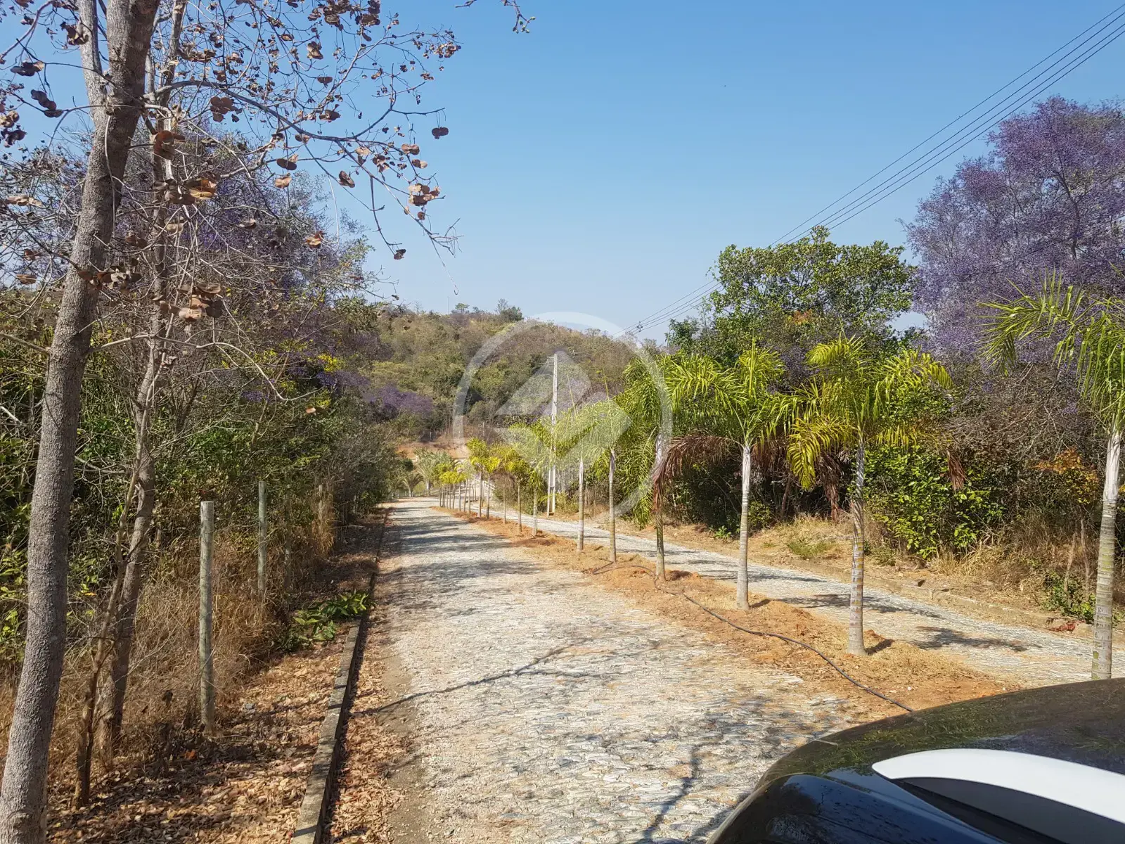 Imagem 3 - Chácara em Centro, Jaboticatubas - MG