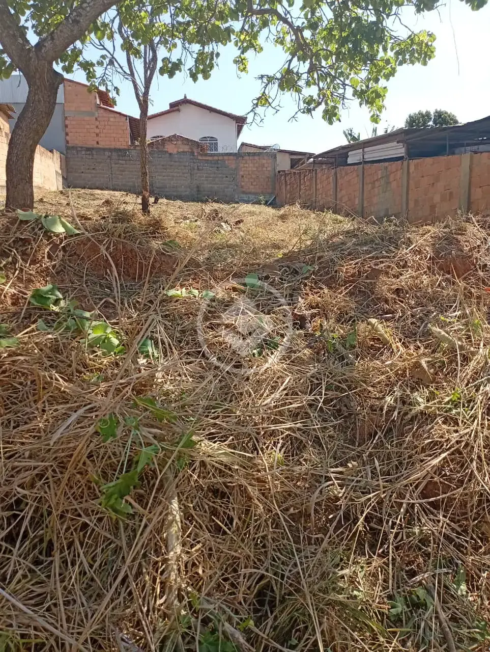 Imagem 4 - Terreno em Aeronautas, Lagoa Santa - MG