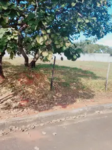 Imagem 4 - Terreno Condomínio em Joá, Lagoa Santa - MG