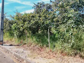 Imagem 5 - Terreno Condomínio em Joá, Lagoa Santa - MG