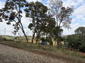 Imagem 6 - Terreno Condomínio em Angicos, Vespasiano - MG