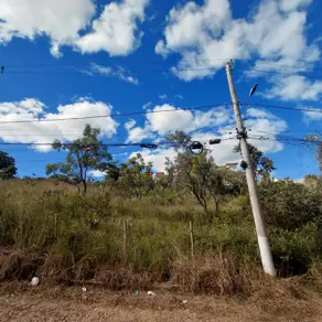 Imagem 2 - Terreno em Shalimar, Lagoa Santa - MG
