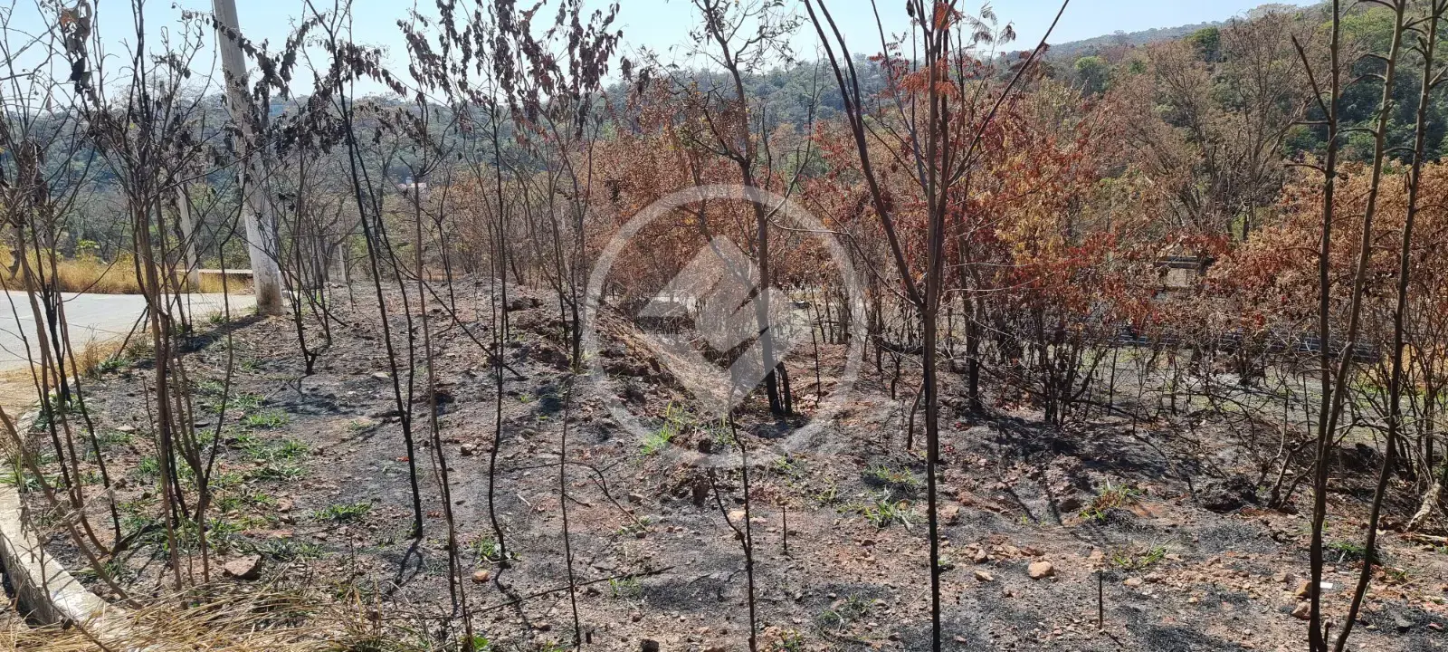 Imagem 2 - Terreno em Sobradinho, Lagoa Santa - MG