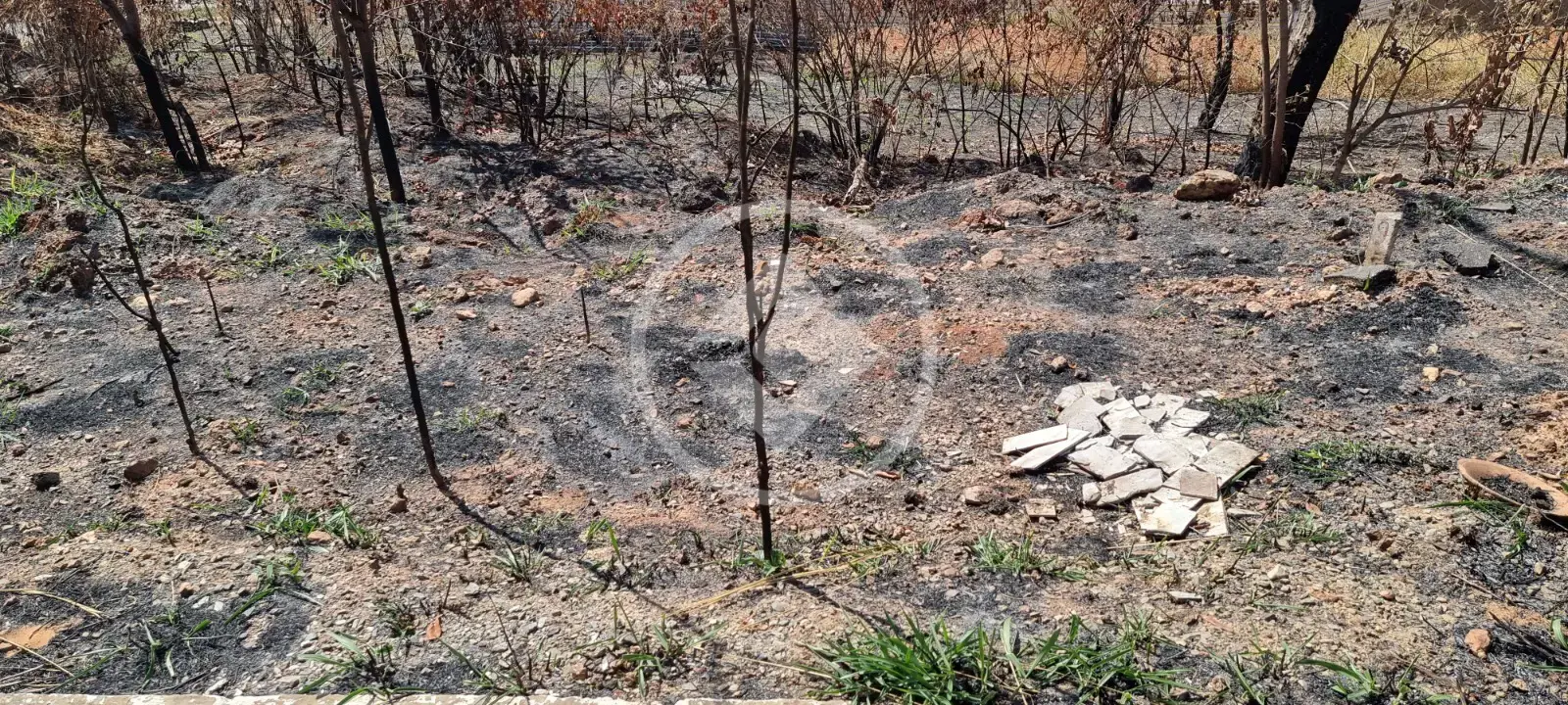 Imagem 4 - Terreno em Sobradinho, Lagoa Santa - MG