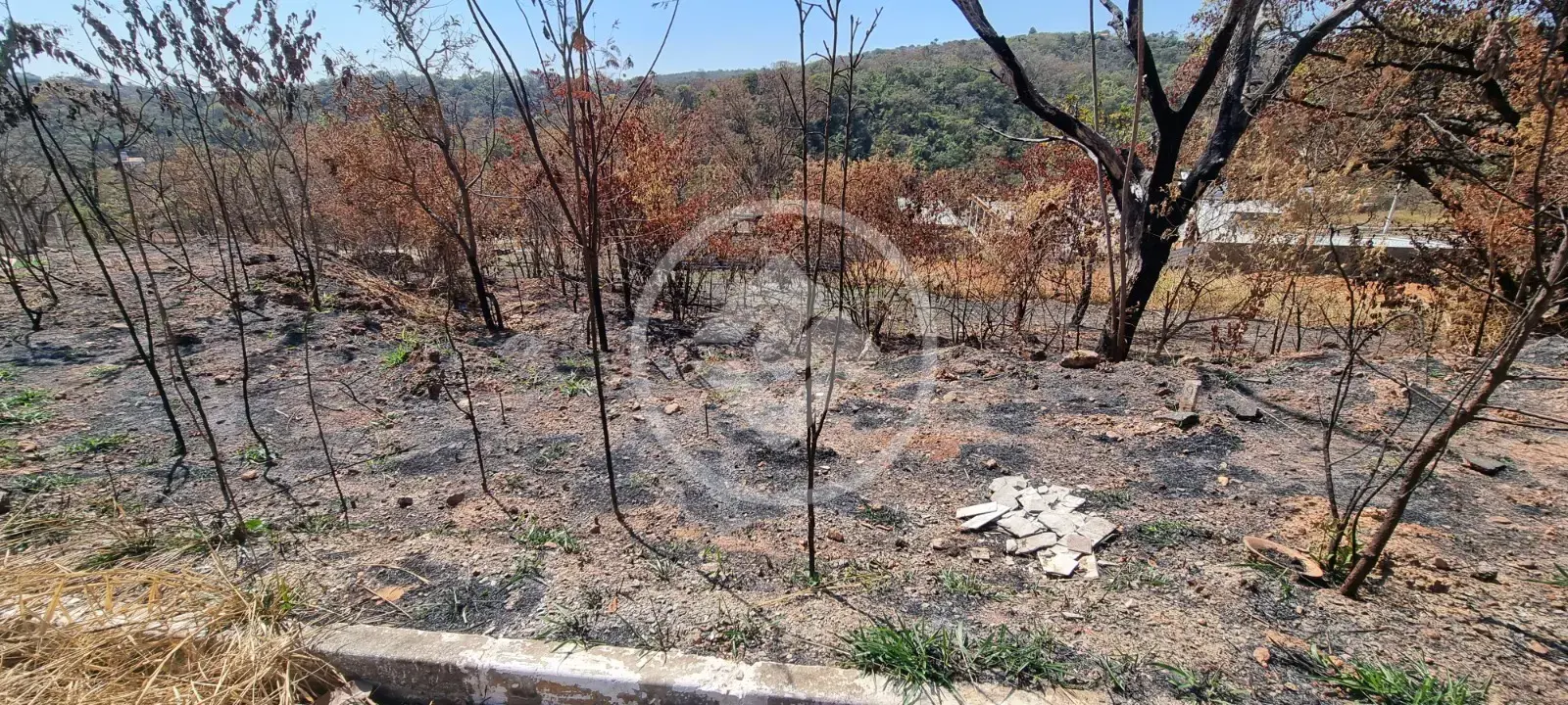Imagem 3 - Terreno em Sobradinho, Lagoa Santa - MG