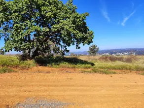 Imagem 3 - Terreno em Maria Candida, Pedro Leopoldo - MG