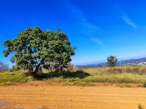 Imagem 2 - Terreno em Maria Candida, Pedro Leopoldo - MG