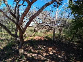Imagem 3 - Terreno em Recanto da Lagoa, Lagoa Santa - MG
